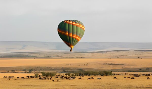 Tour Operator Liability