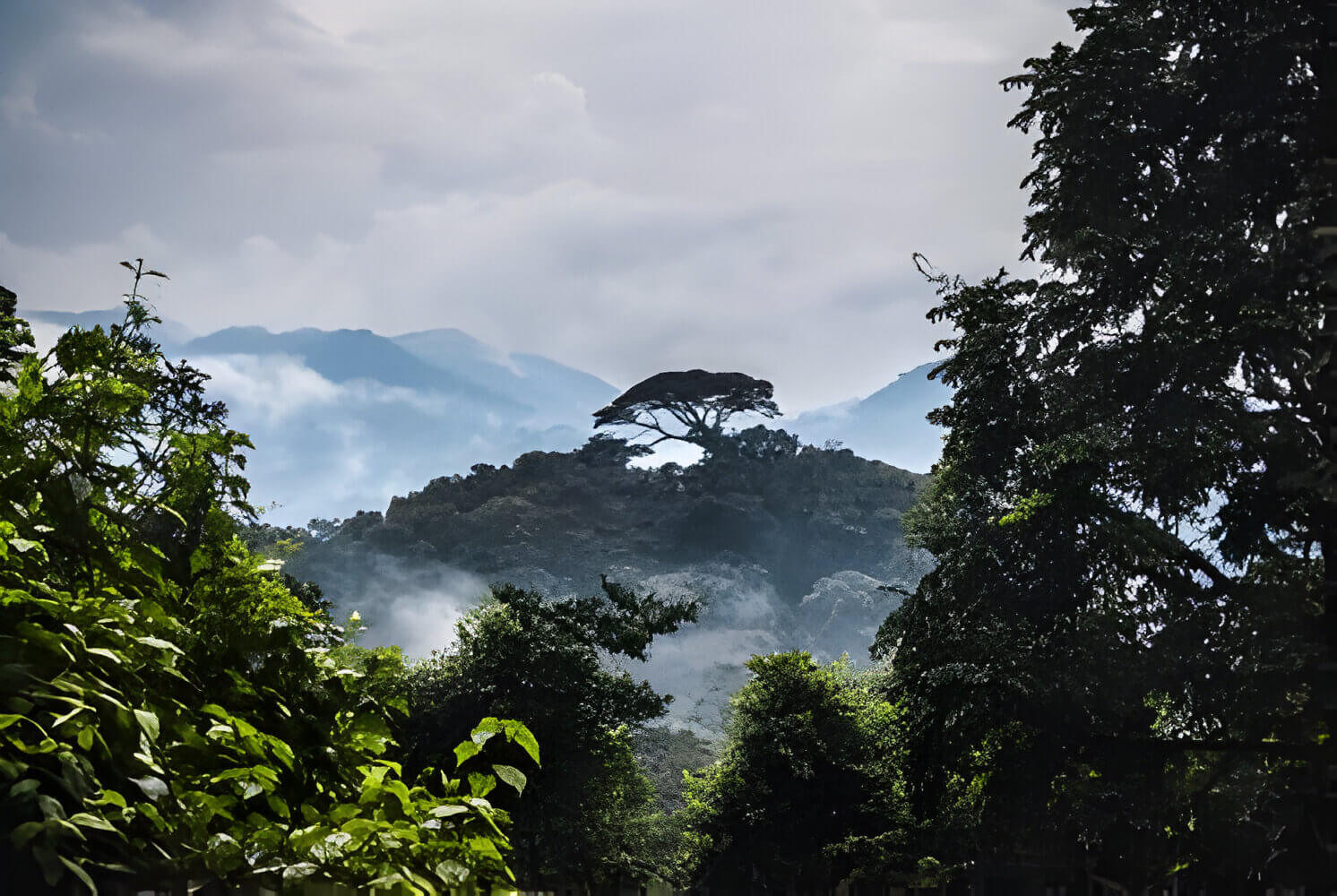Discover Rwanda RWANDA – KENAFRICA TOURS AND TRAVEL